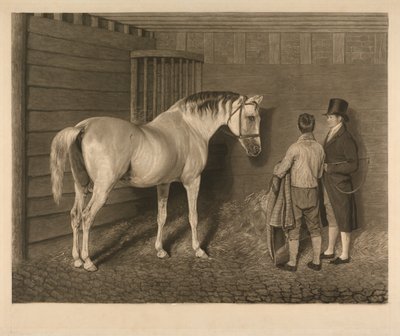 Wellesley-araberen af Charles Turner