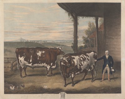 To Durham Oxen af Charles Turner