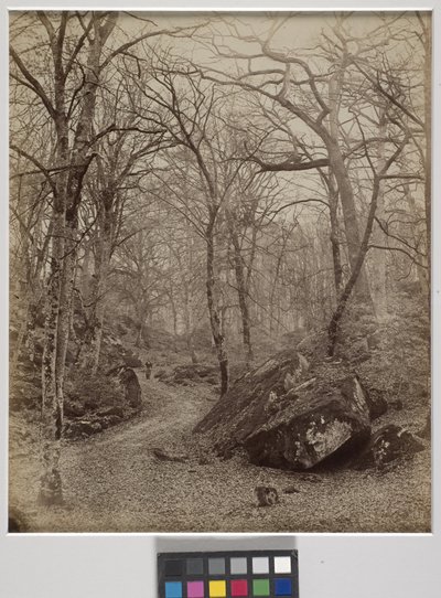 Fontainebleau, ca. 1870 (albumin print) af Charles Victor Famin