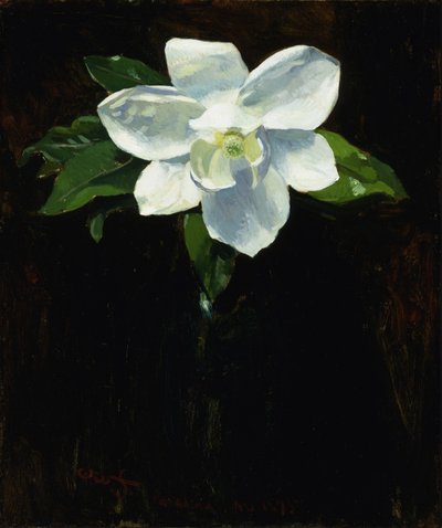 Magnolia af Charles Walter Stetson