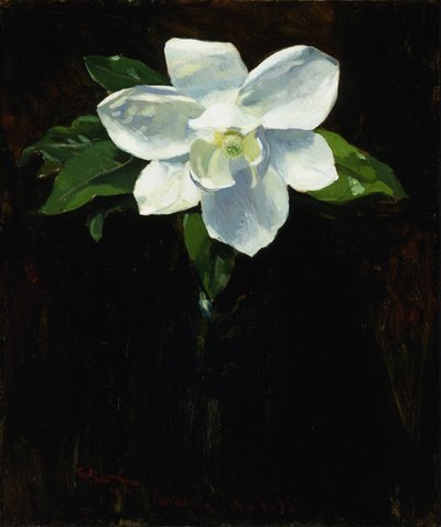 Magnolia, 1895. af Charles Walter Stetson