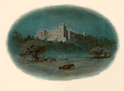 Arundel slot af Charles Wilkinson