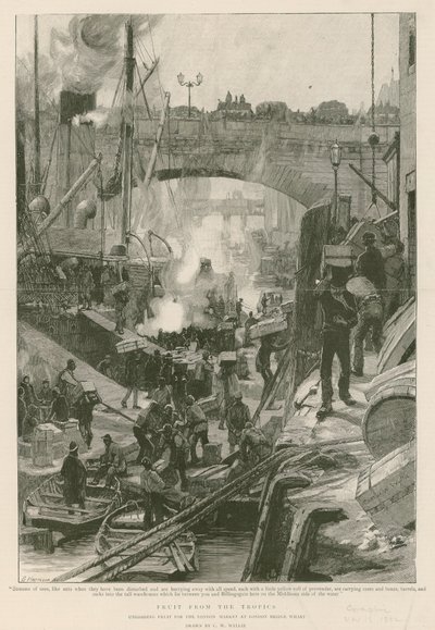 Frugt fra troperne (gravering) af Charles William Wyllie
