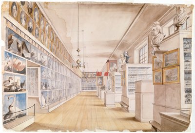 The Long Room, Interiør af Front Room i Peales Museum, 1822 (wc over grafit på papir) af Charles Willson Peale