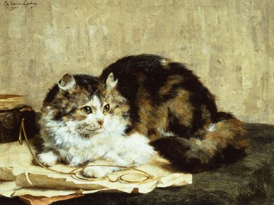 En tabby kat af Charles van den Eycken