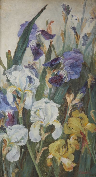 Iris, 1882 af Charlotte Hodder