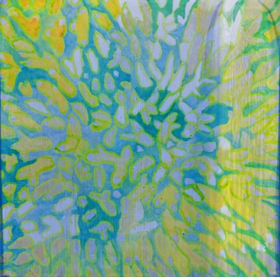 Acrapora, 2000 (olie på gesso) af Charlotte Johnstone