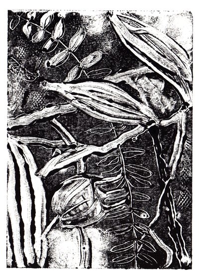 Inky Plants, 2019 (monoprint) af Charlotte Orr