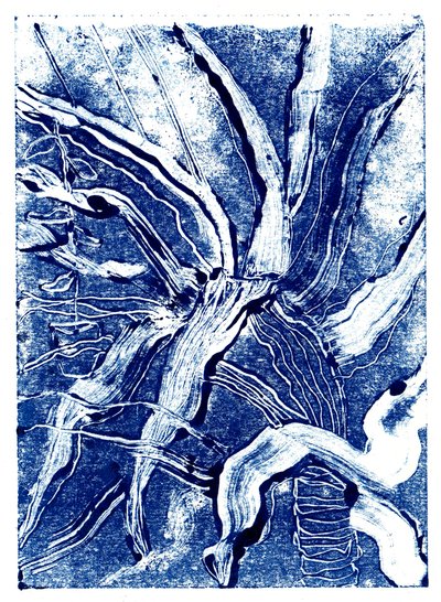 Inky Plants no.2, 2019 (monoprint) af Charlotte Orr