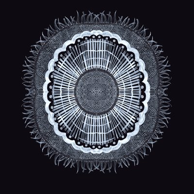Plant Cell 0.2, 2019 (pen og blæk) af Charlotte Orr