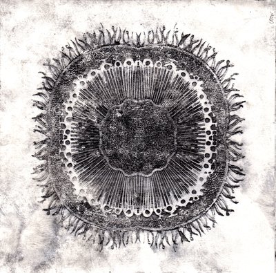 Planteceller, 2019 (tørpunktsætsning) af Charlotte Orr