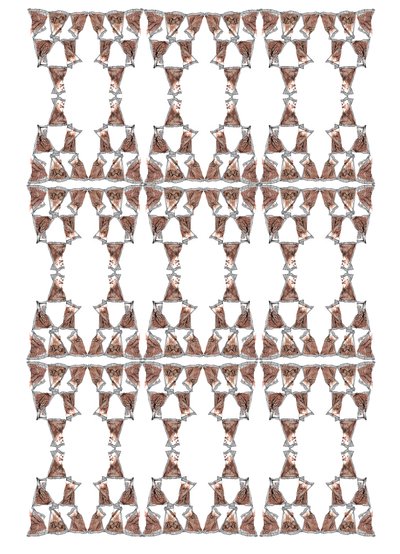 Teemballagedesign, 2018 (blæk og akvarel) af Charlotte Orr