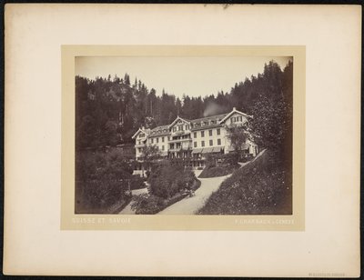 Hotel du Giessbach af Charnaux Frères and Cie.