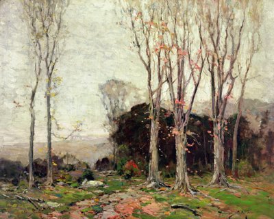Vejen ned ad bjergene af Chauncey Foster Ryder