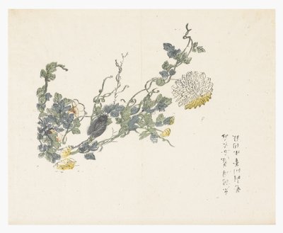 Sennepsfrøhave af Chen Chung Jan (after)