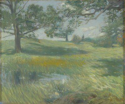 Meadows, ca. 1900-10 (pastel på lærred) af Childe Frederick Hassam
