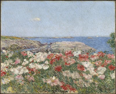 Valmuer på Isles of Shoals af Childe Frederick Hassam