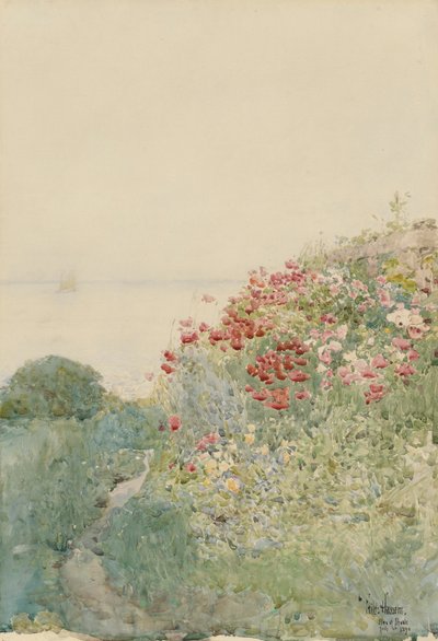 Field of Poppies, Isles of Shoals af Childe Hassam