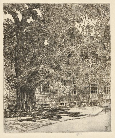 Kæmpe-elm, 1929 af Childe Hassam