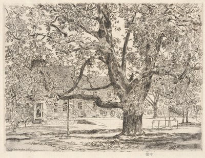 The Big Horse Chestnut Tree, Easthampton af Childe Hassam