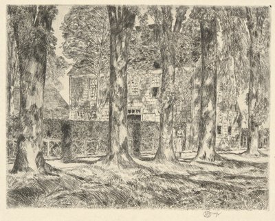 Village Elms, 1923 af Childe Hassam