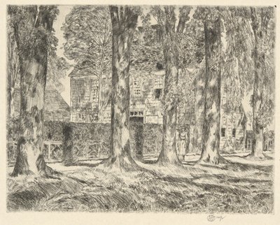 Landsbyens elmetræer, 1923 af Childe Hassam