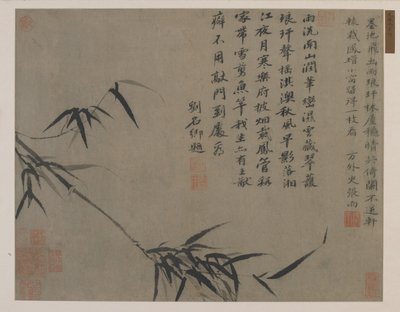 En spray af bambus, muligvis Qing-dynastiet (blæk på papir) af Chinese School