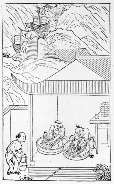 Indsamling og vask af den blå emalje til farvning, fra en række illustrationer om fremstilling af porcelæn (se 384116 & 384117 for hele serien) af Chinese School