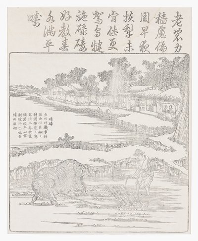 Harving af rismarken, 1700-tallet af Chinese School