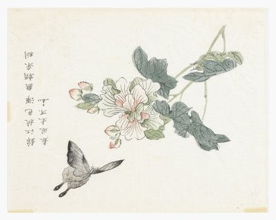 Sennepsfrøhave af Chinese School