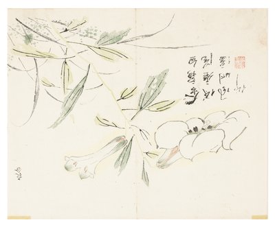 Sennepsfrøhave af Chinese School