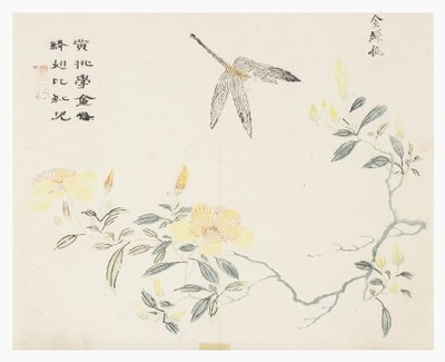 Sennepsfrøhave af Chinese School