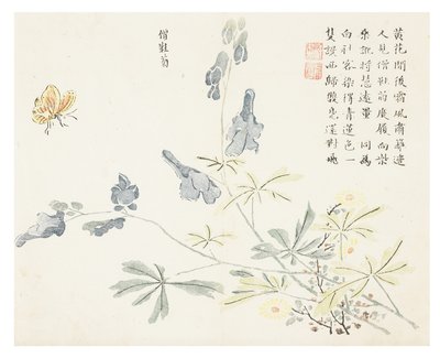 Sennepsfrøhave af Chinese School
