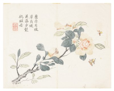 Sennepsfrøhave af Chinese School