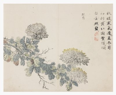 Sennepsfrøhave af Chinese School