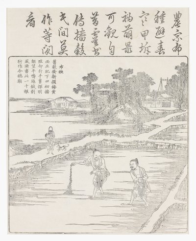 Såning af ris i et frøbed., 1700-tallet af Chinese School
