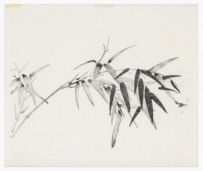 Ten Bamboo Series, 18th centurydani af Chinese School