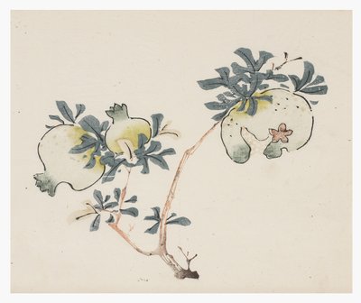 Ten Bamboo Series, 18th centurydani af Chinese School