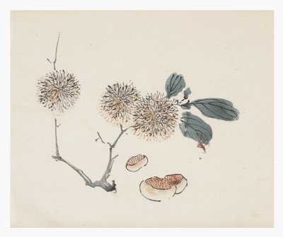 Ten Bamboo Series, 18th centurydani af Chinese School