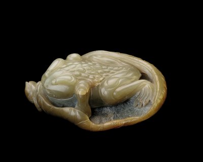 Padde på et lotusblad, 1500-1700 af Chinese School