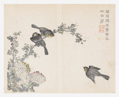 Sennepsfrøhave af Ching yu Chiu