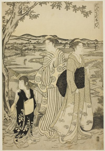 Papegøje Komachi, fra serien The Fashionable Seven Komachi (Furyu nana Komachi), ca. 1788 (farvetræsnit; oban) af Chobunsai Eishi