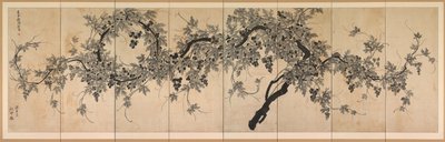Grapevine af Choe Seok hwan