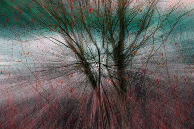 Naturens kraft. af Chris Hamilton