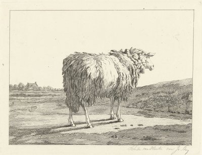 Får i et landskab af Christiaan Godfried Schutze van Houten