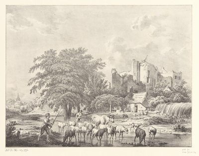 Flok kvæg ved ruinerne af Brederode Kasteel Slot af Christiaan Josi