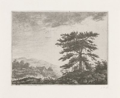 Træ i et hedelandskab af Christiaan Wilhelmus Moorrees