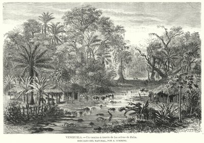 Sti gennem junglen i Zulia, Venezuela (litho) af Christian Anton Goering