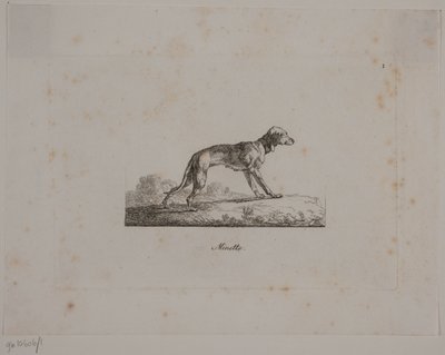 Minette af Christian David Gebauer