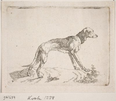 Minette af Christian David Gebauer